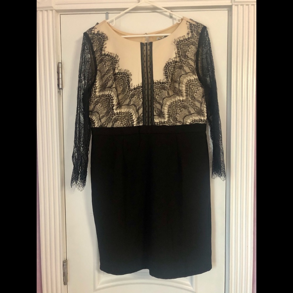 NEW Black Lace Business Dress
